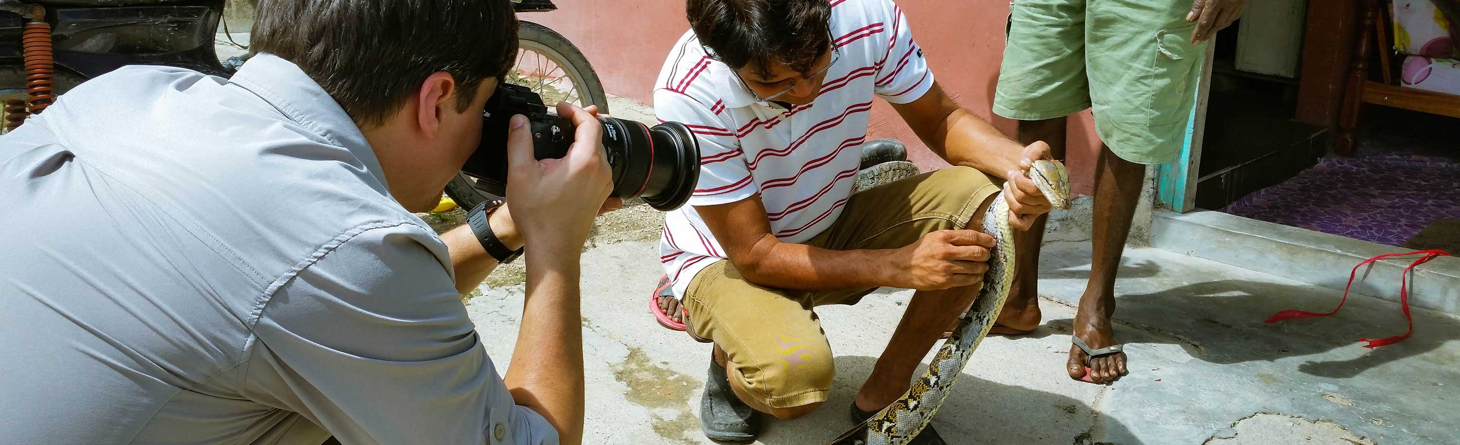 Investigative Filmproduktion zum Thema Phython