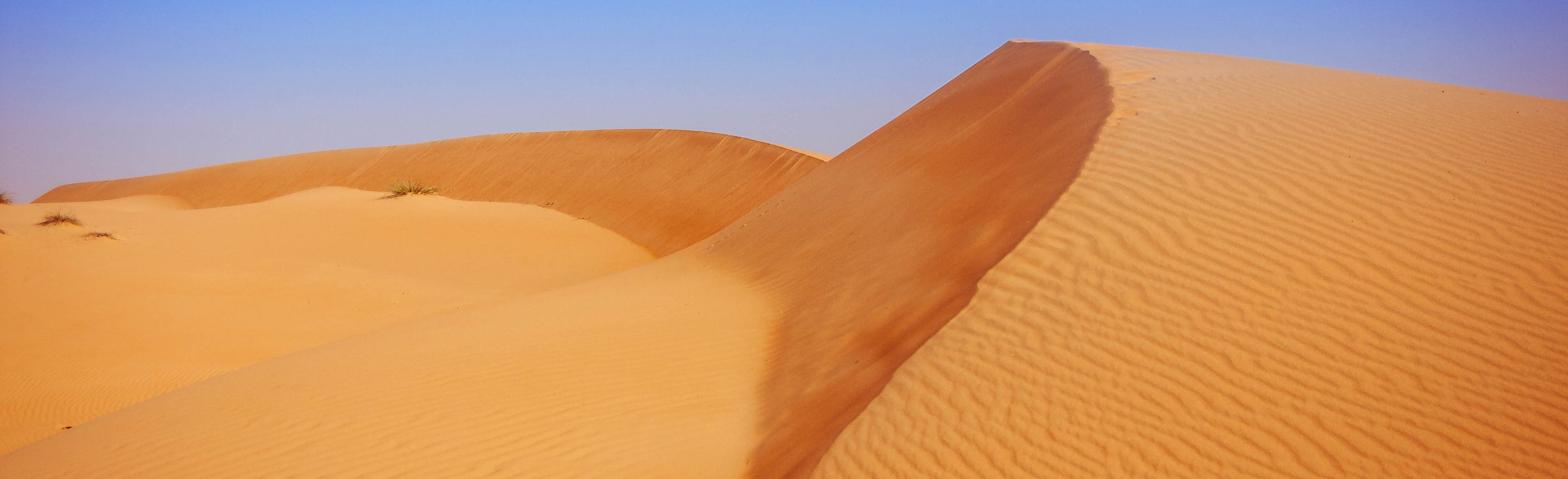 Filmdreh zur ZDF planet.e Reportage